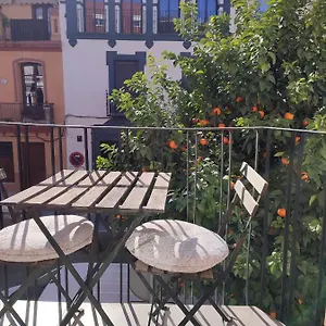 Loft House Triana Appartamento Siviglia